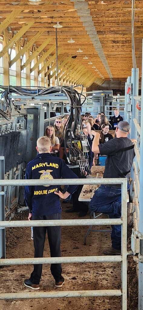 Visitors in the cattle barn