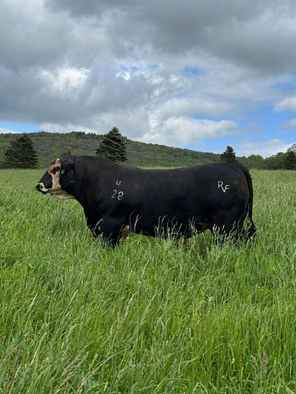 Capstone at 18 months