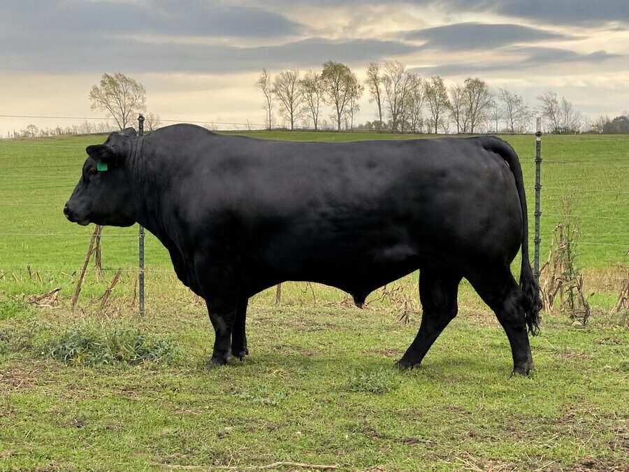 RVFI Prototype 302L